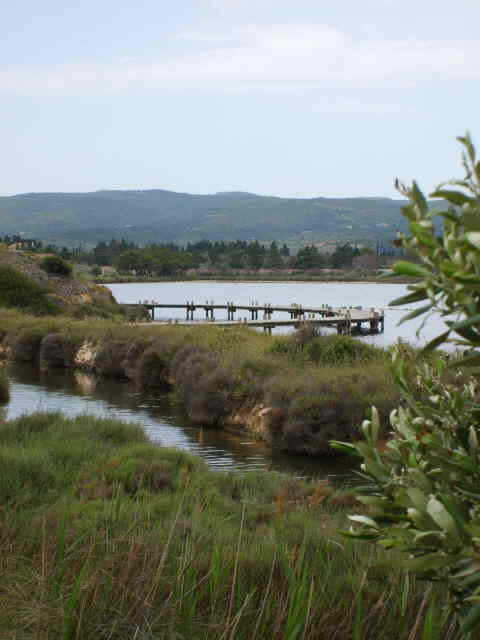 Flachseen bei Peyriac